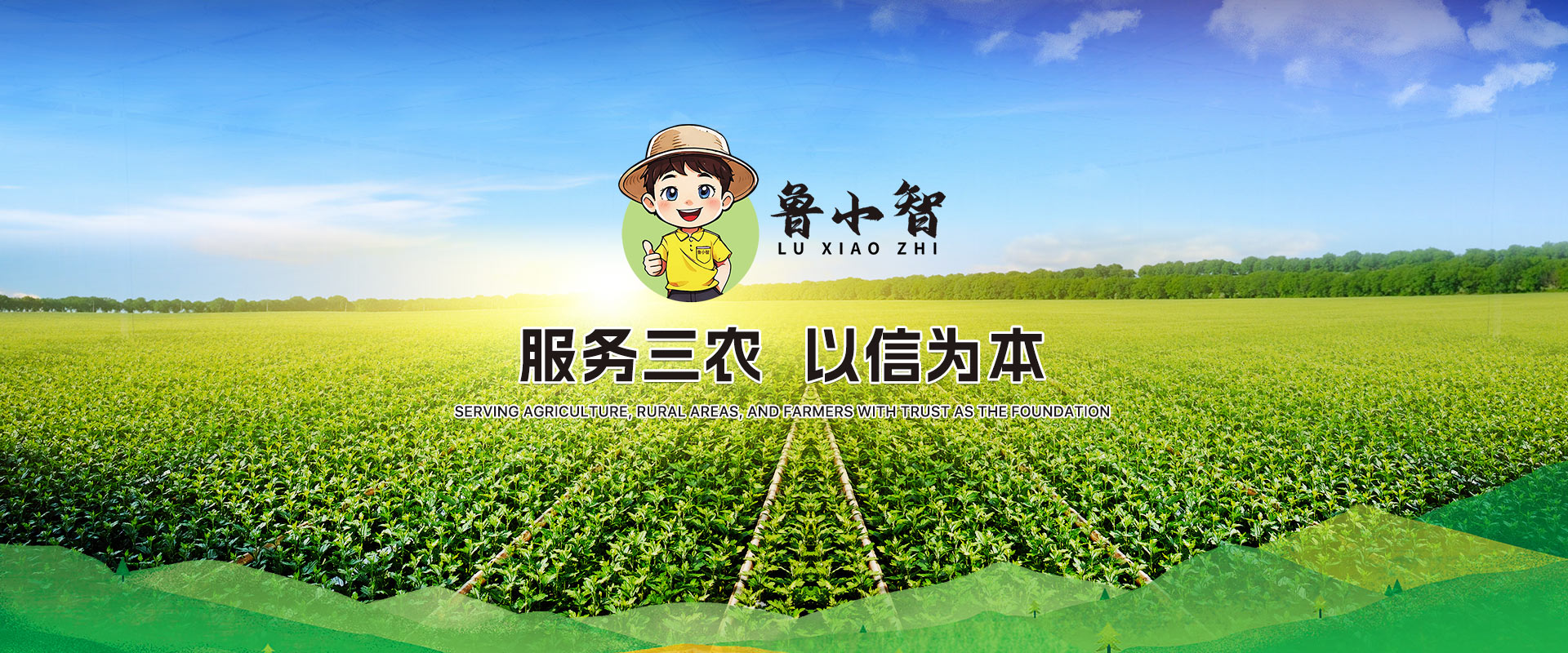 首页轮播3